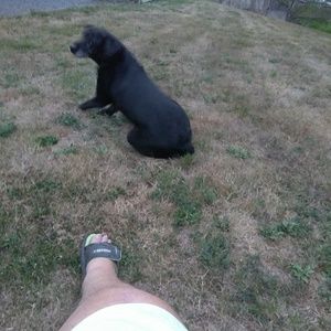 Meet your Posher, Cal